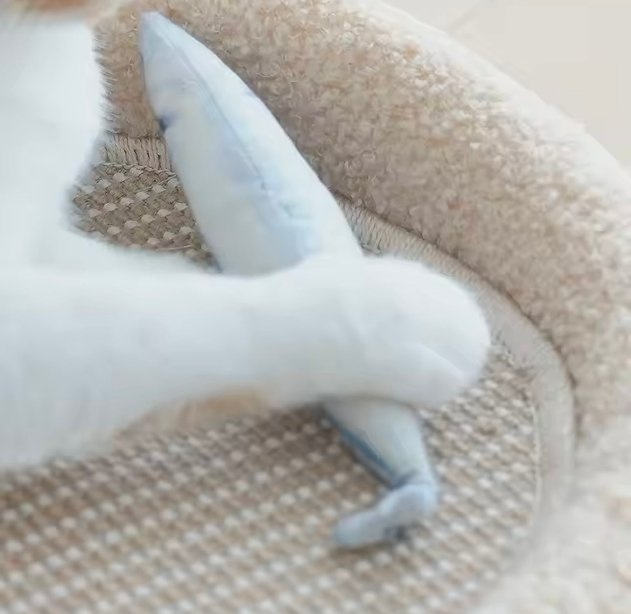 Comfy Cat Scratching Bed