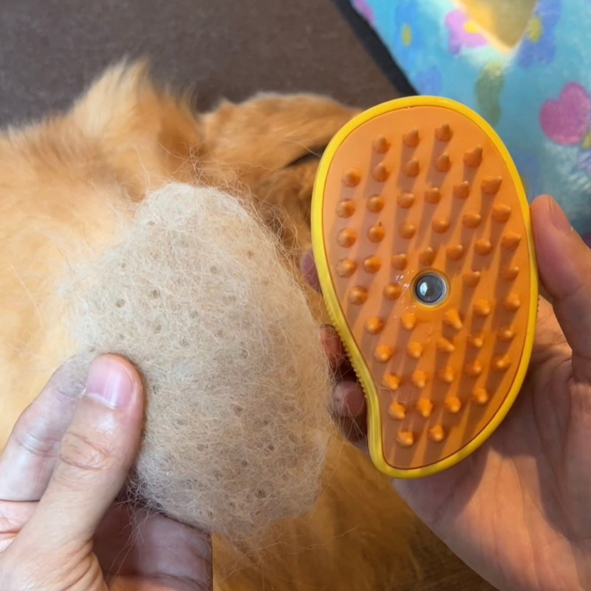 Dog Steamy Brush pawslovestore