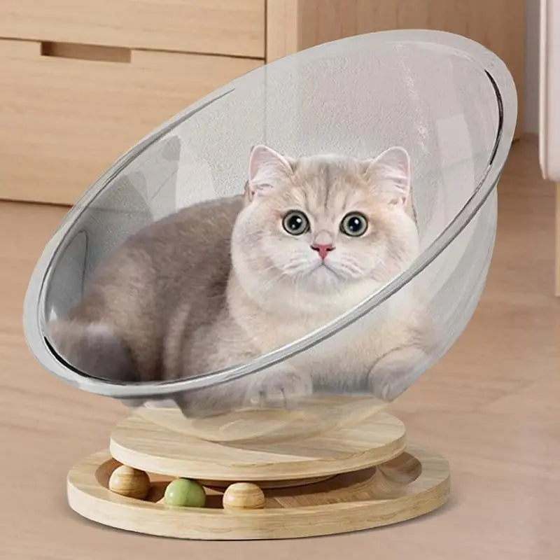 Acrylic cat bed best sale