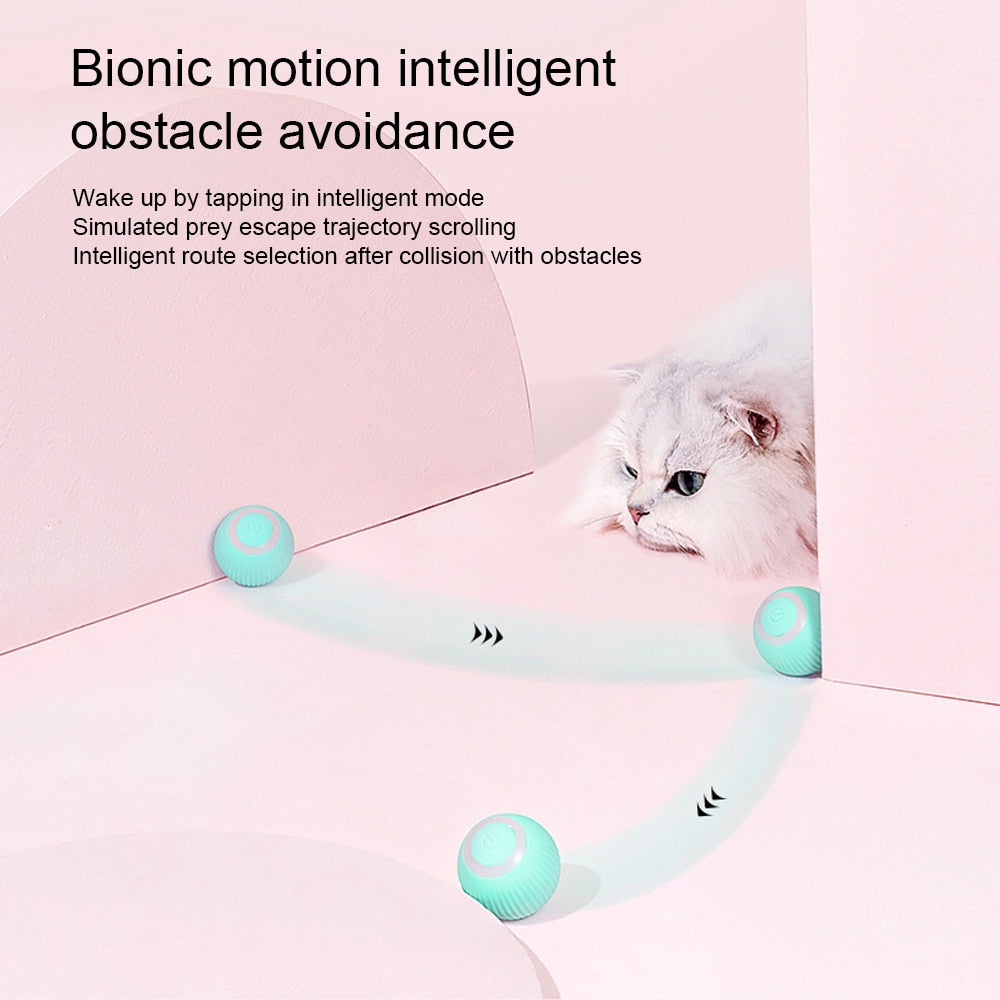 Automatic Cat Ball