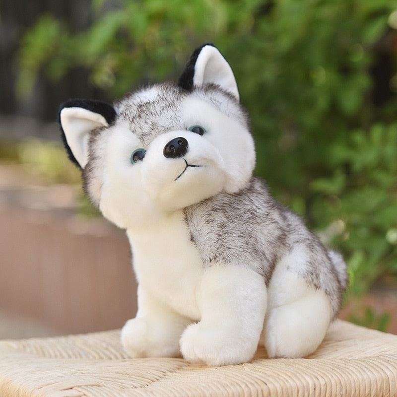 Husky Plush