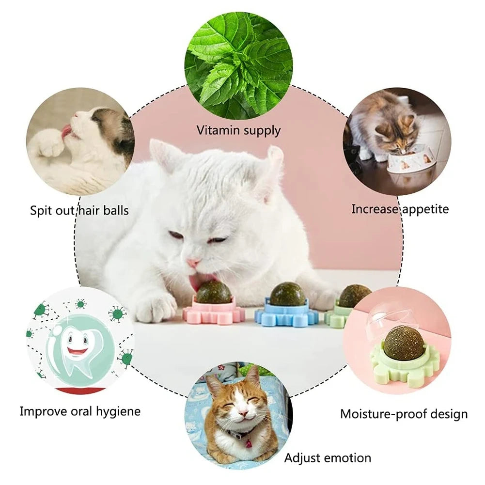 Natural Catnip Ball
