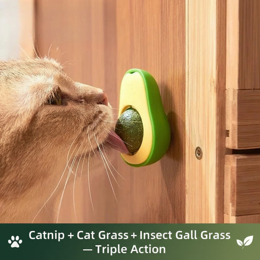 Cat interacting with an avocado-shaped cat toy on a wooden wall