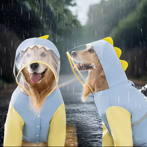 Dinosaur Dog Raincoat