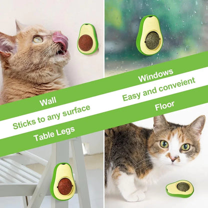 Avocado Catnip