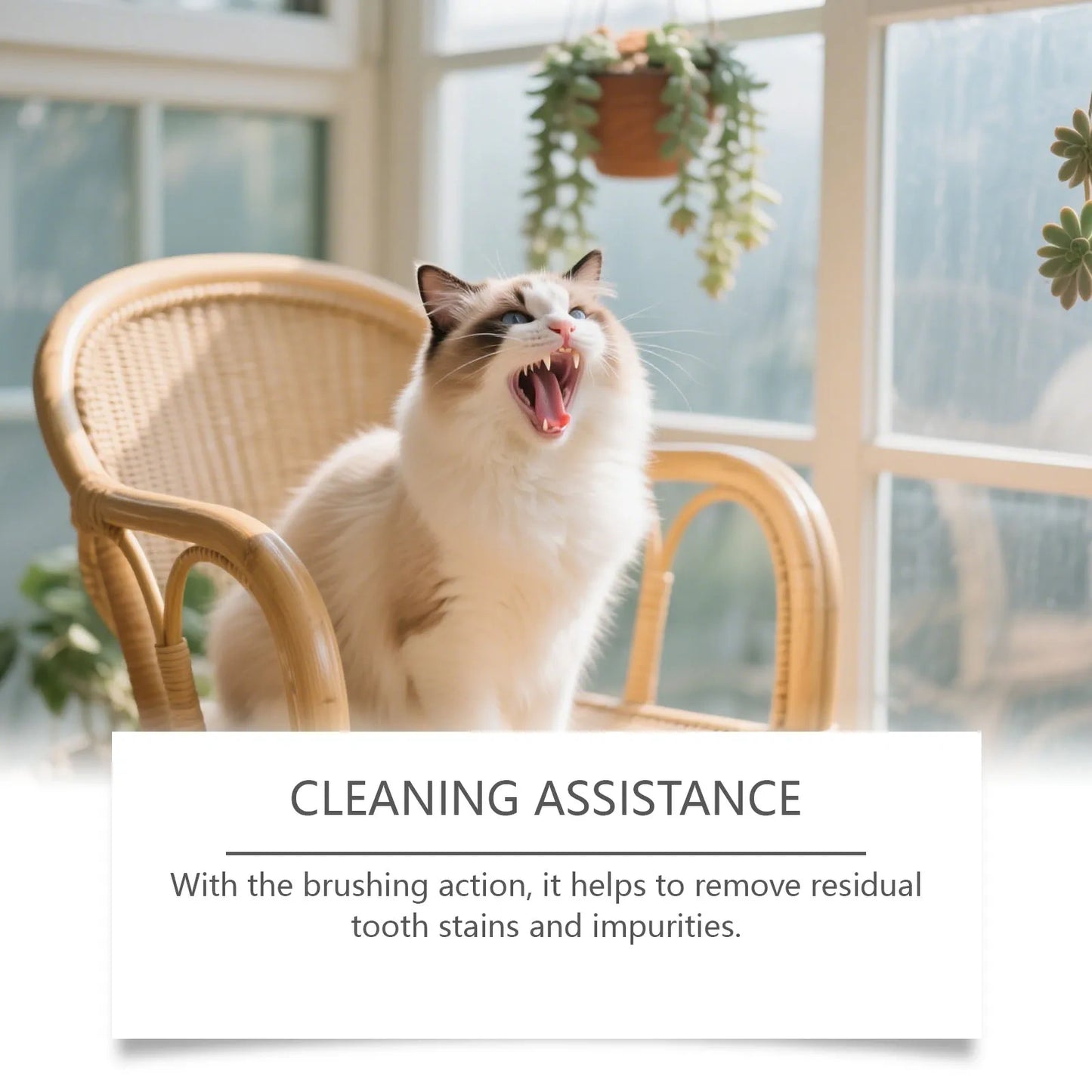Pet Tooth Cleaner Pen