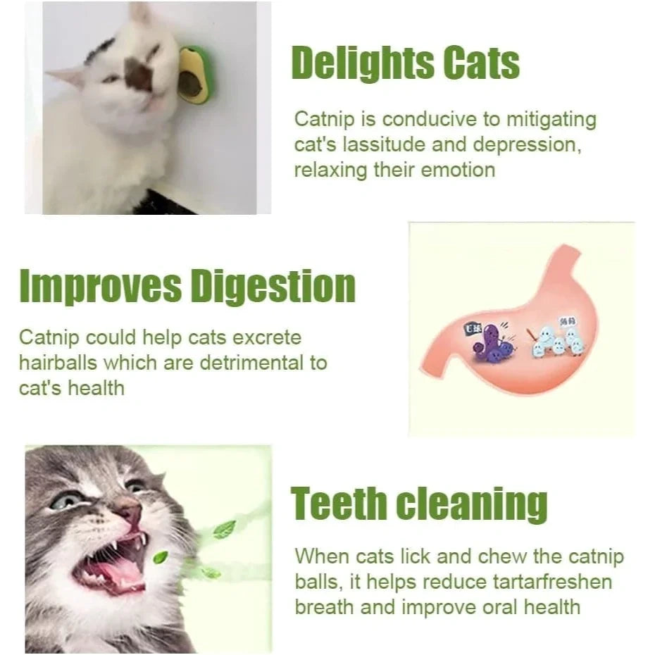 Avocado Catnip
