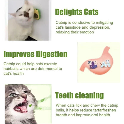 Avocado Catnip
