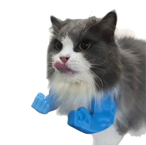 Hilarious Hulk Cat Arms