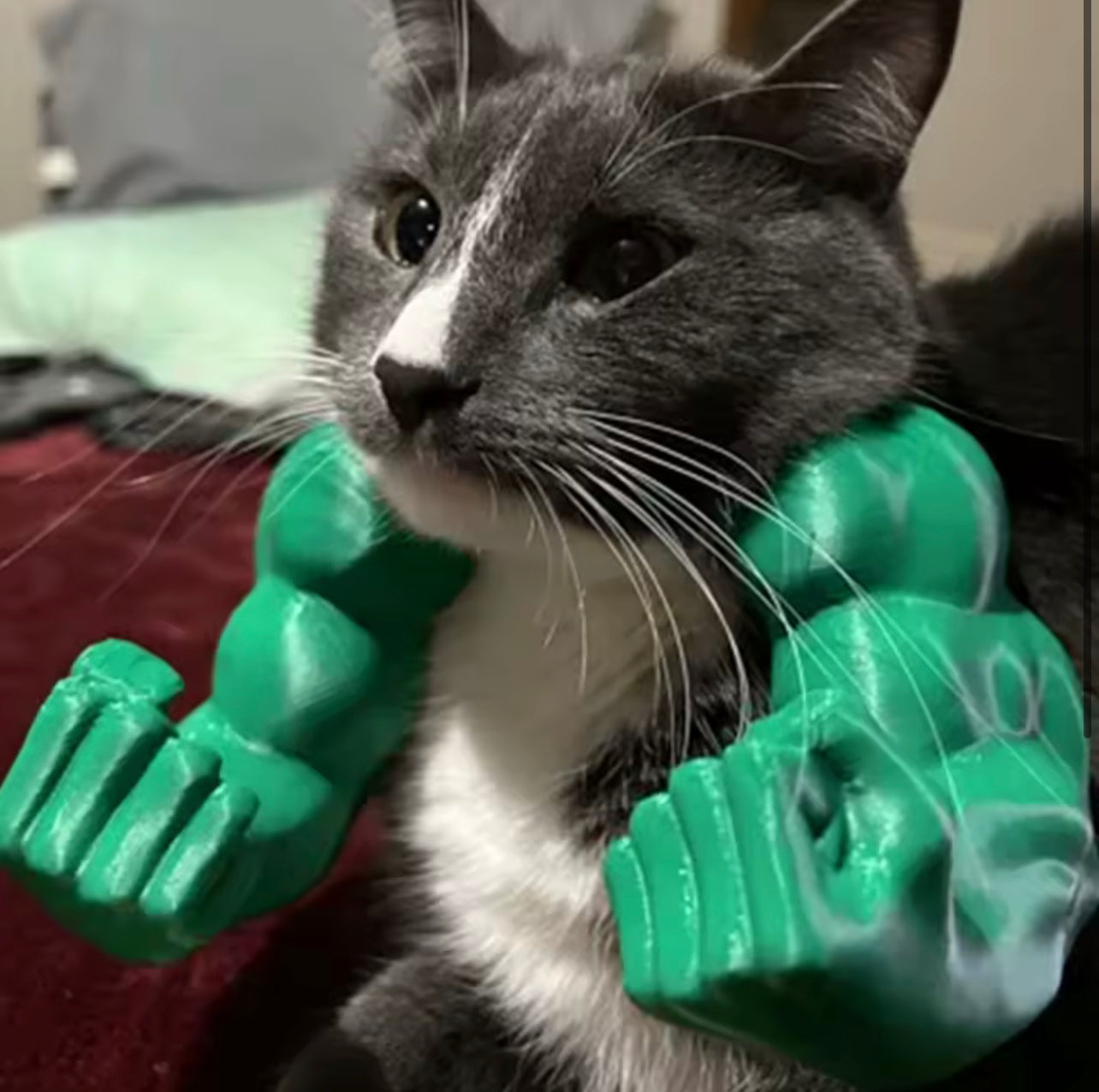 Hilarious Hulk Cat Arms