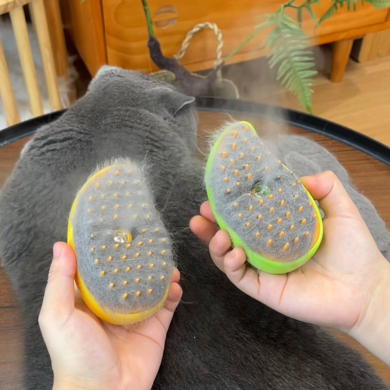 Mango Cat Brush