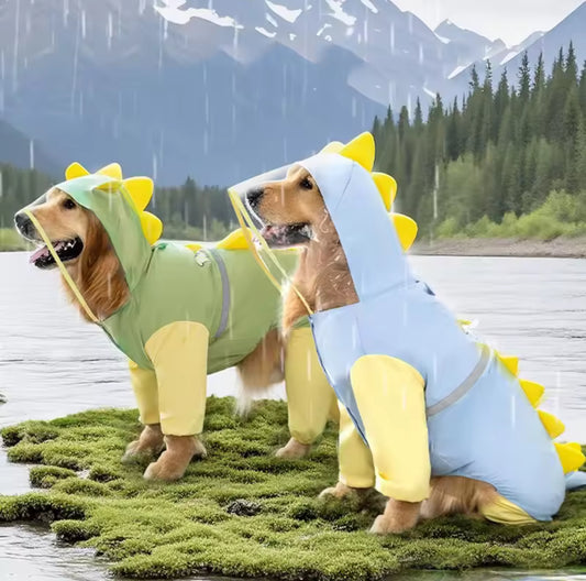Dinosaur Dog Raincoat
