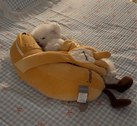 Dog Sleeping Massager