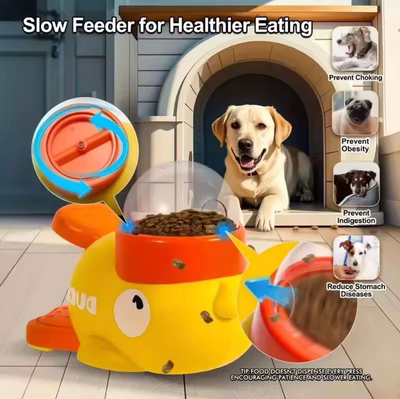 Dog Snack Feeder