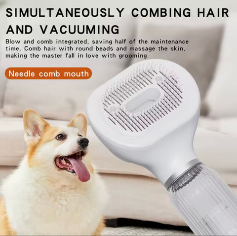 2 in 1 Pet Hair Dryer