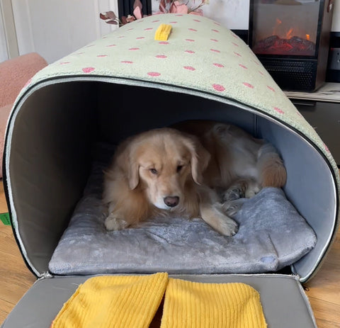 NEW Dog Tent
