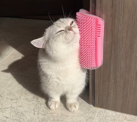 Cat Scratcher