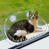 Cat Window Bed V2