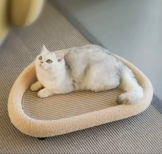 Comfy Cat Scratching Bed