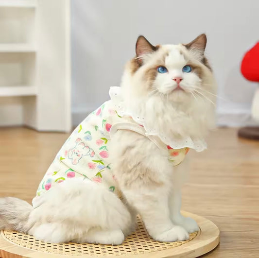 Cat Summer Costume