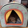 NEW Winter Dog Tent