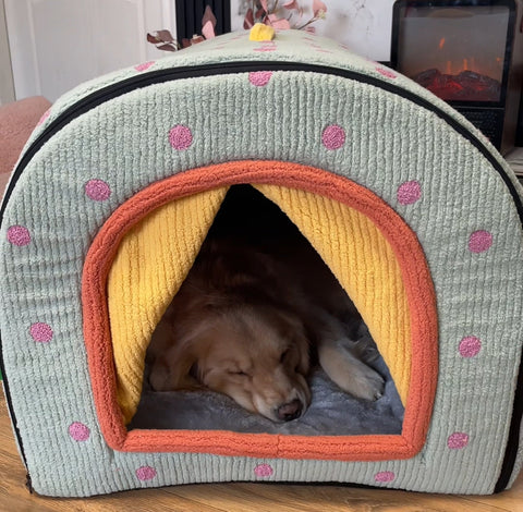 NEW Dog Tent