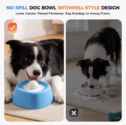 Slow Feeder For Dogs