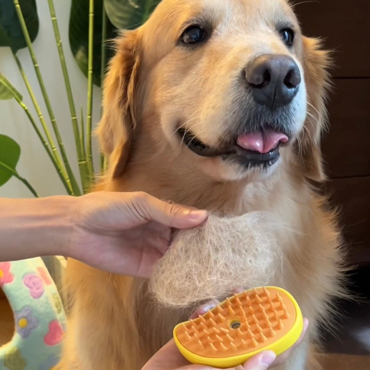 Mango Dog Brush