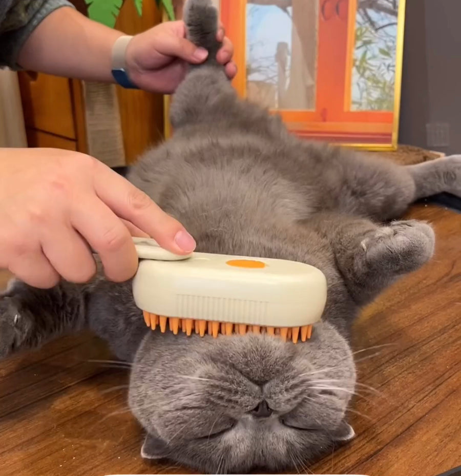 3-In-1 Water Pet Brush