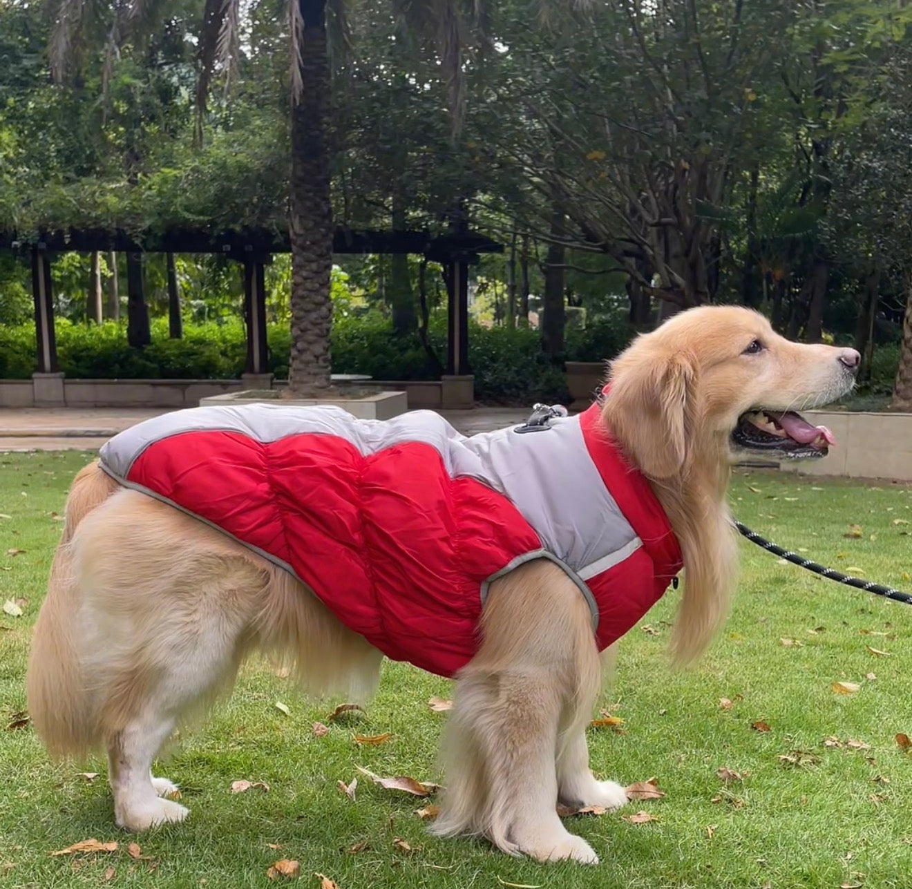 Winter Dog Jacket