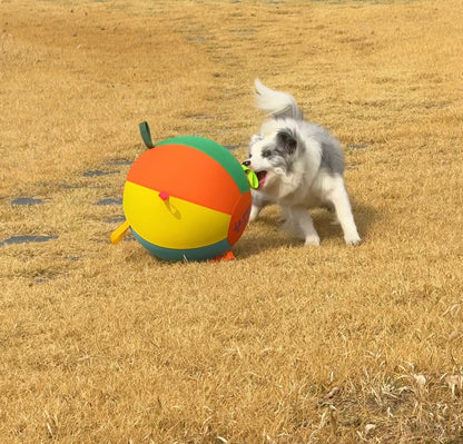 Dog Playing Plushy Ball