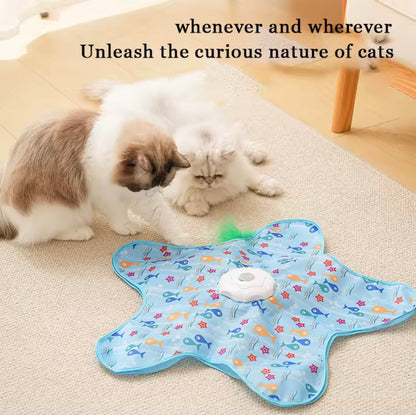 Smart Hide and Seek Cat Toy