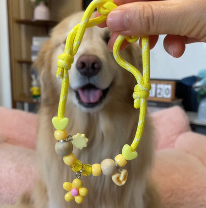 Insect Repellent Pet Collar