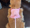 NEW 2 in 1 – Dog Harness
