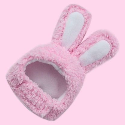 Cat Bunny Ears