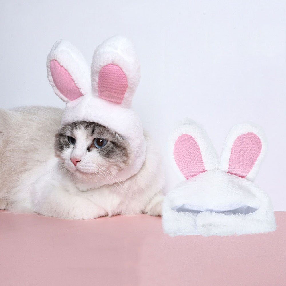 Cat Bunny Ears