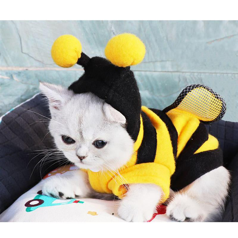 Cat Bee Costume