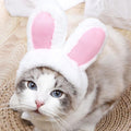 Cat Bunny Ears