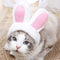 Cat Bunny Ears