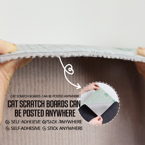 Cat Scratching Stickers