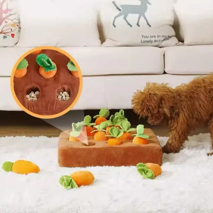 Dog Carrot Farming