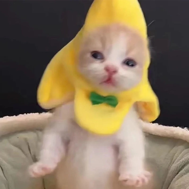 Banana Cat