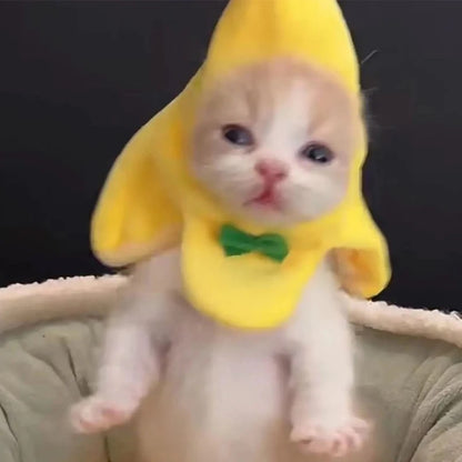 Banana Cat