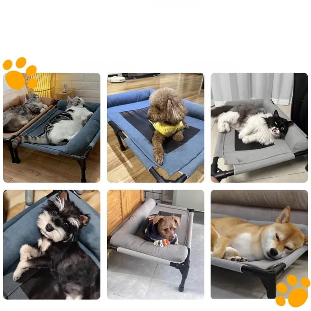 Pet Bed Pro