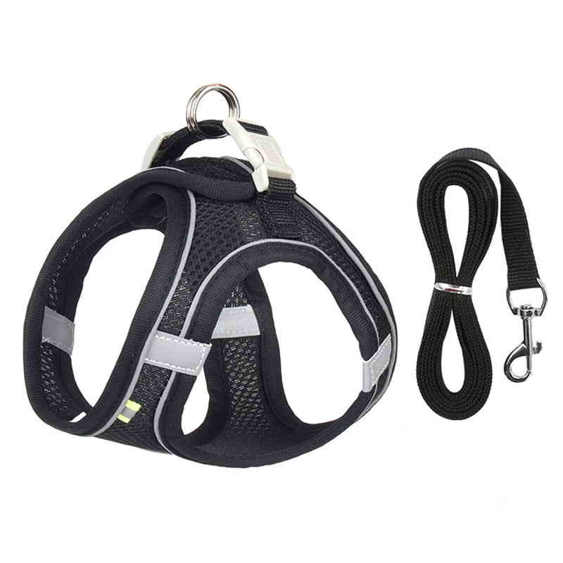 Cat Harness