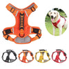 Premium Dog Harness