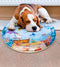 NEW Pet Summer Water Bed