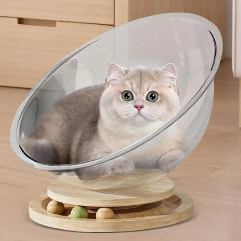 Round Glass Bed For Cats