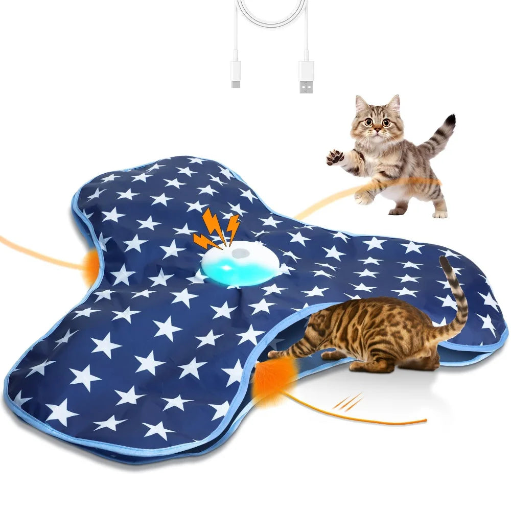 Smart Hide and Seek Cat Toy