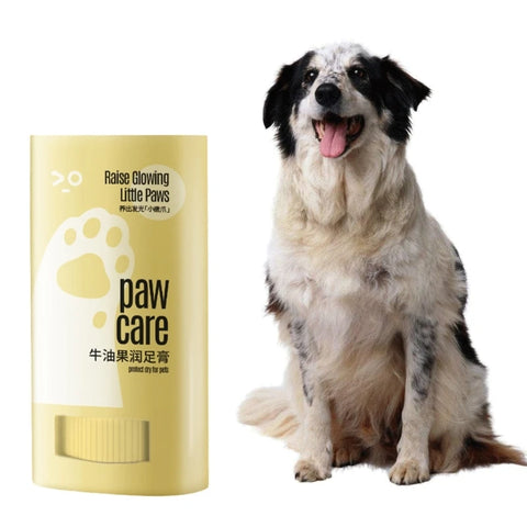 Paw Care Balm